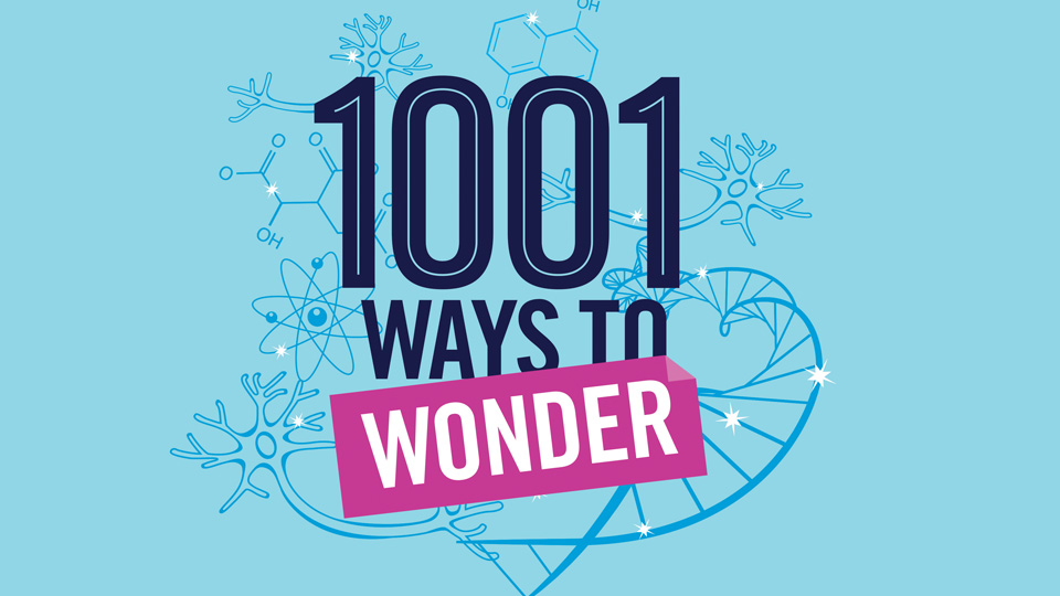 1001 WAYS TO WONDER |  science web series, in development with Pier 21 Films
